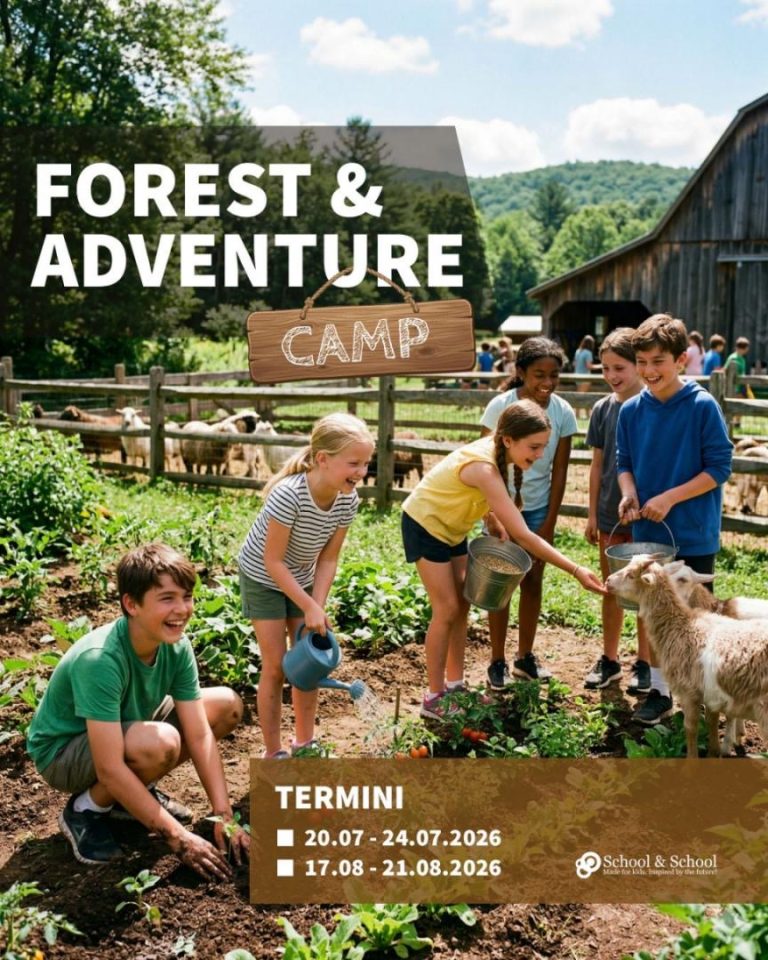 FOREST & ADVENTURE CAMP